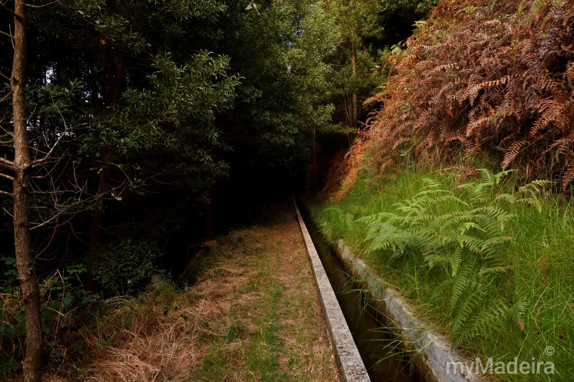 Levada Nova