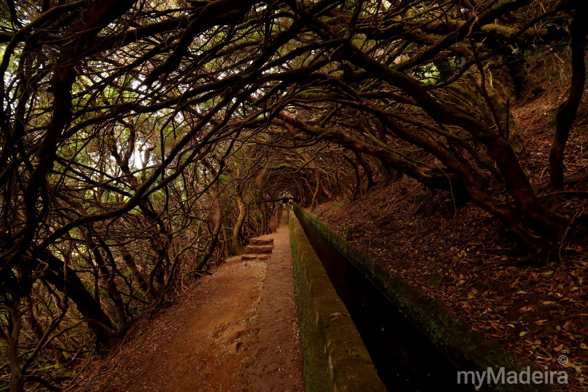 Levada das 25 Fontes