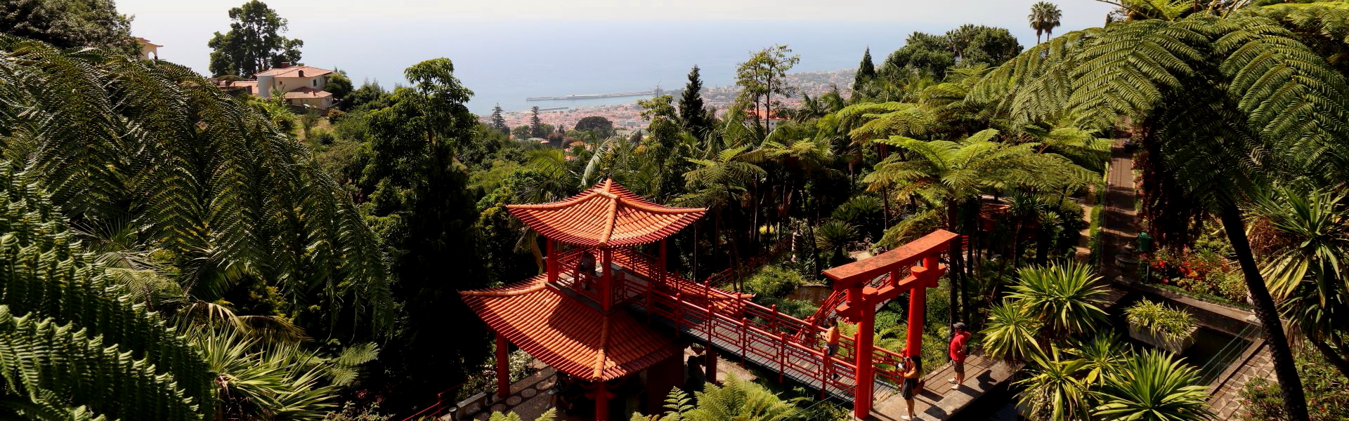 Levada túra