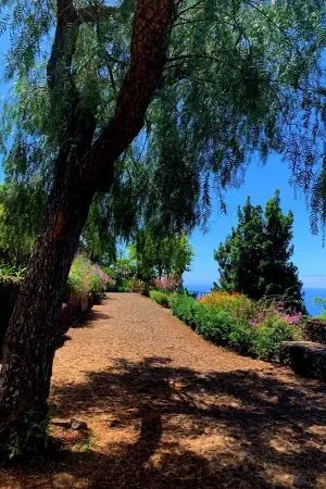 Jardim Botânico da Madeira