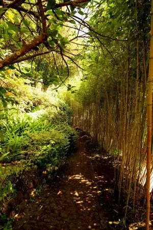 Jardim Monte Palace Madeira