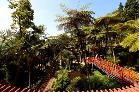 Jardim Monte Palace Madeira