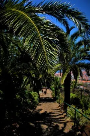 Jardim Botânico da Madeira