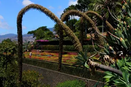 Jardim Botânico da Madeira