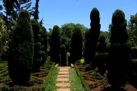 Jardim Botânico da Madeira