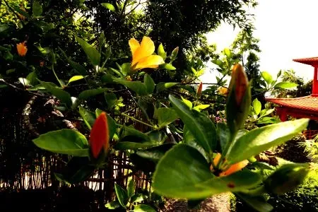 Jardim Monte Palace Madeira