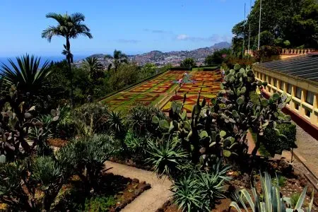 Jardim Botânico da Madeira