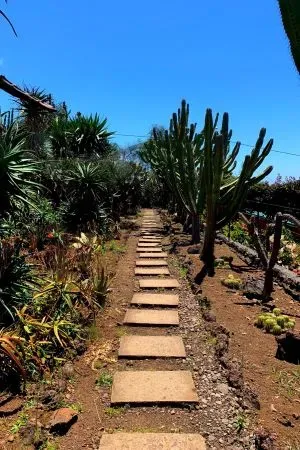 Jardim Botânico da Madeira