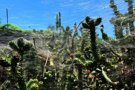Jardim Botânico da Madeira