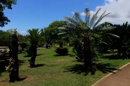 Jardim Monte Palace Madeira