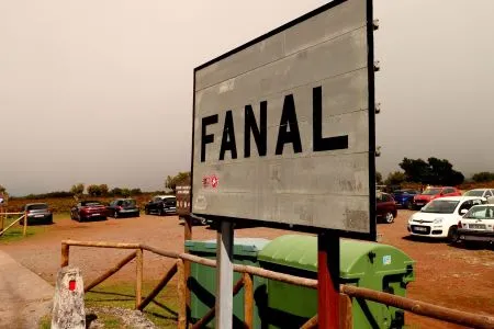 A Fanal Erdő