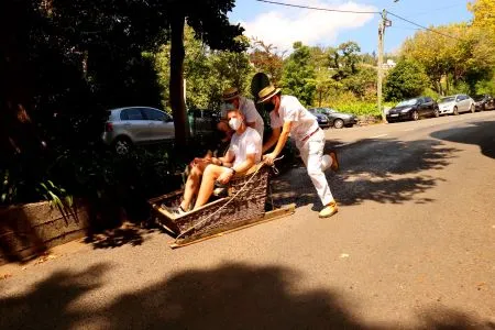 Toboggan