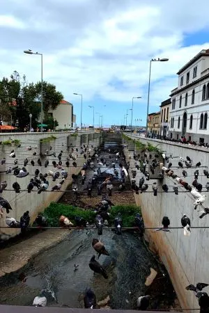 Galambsereg