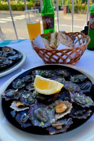 Lapas