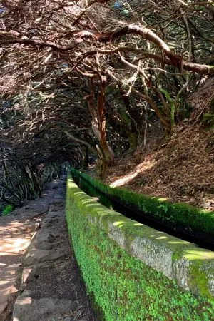PR6 Levada das 25 Fontes