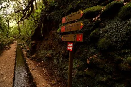 PR9 - Levada do Caldeirão Verde