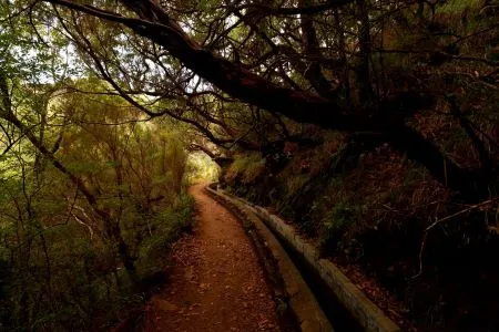PR6 Levada das 25 Fontes