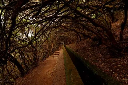PR6 Levada das 25 Fontes
