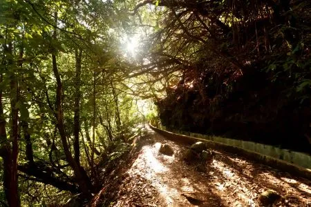 PR10 Levada do Furado