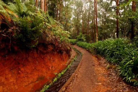 PR18 Levada do Rei