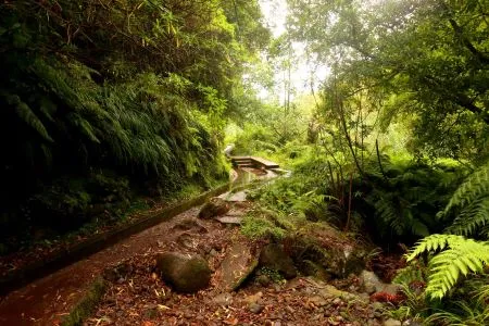 PR18 Levada do Rei