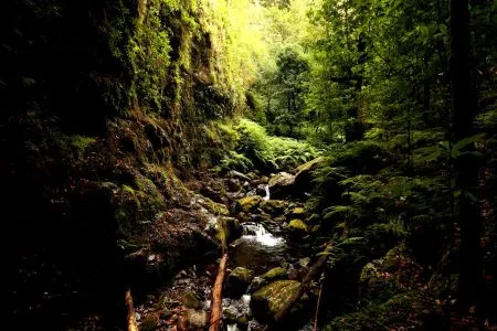 PR18 Levada do Rei