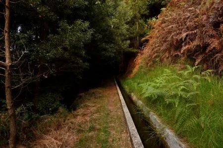 Levada Nova