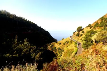 Levada Nova