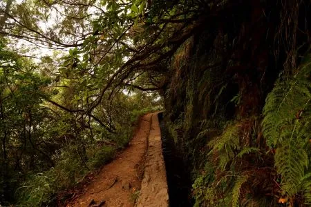 PR9 - Levada do Caldeirão Verde