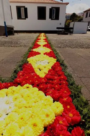 Virágszőnyeg a Santanai templom előtt