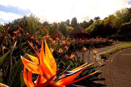 Parque Temático da Madeira (Santana)